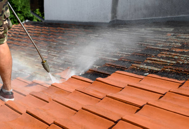 Professional Pressure Washing in Brown Station, MD